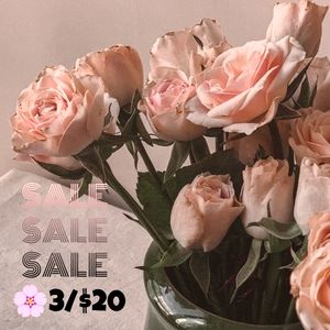 🌸 3/$20 SALE! SALE! SALE! 🌸